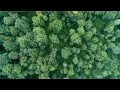 A Mighty Conservation Success for Habitat Forestland and a Community