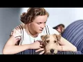 Download Lagu Alfred Hitchcock's 'Young and Innocent' (1937)