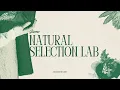 Exploring Gizmo s Natural Selection Lab