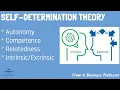 Self-Determination Theory Organizational Behavior From A Business Professor