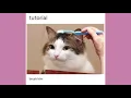 The Shreeax Trinity Late Night Tumblr Posts