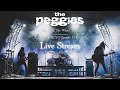 Download Lagu the peggies MY WHITE TOUR 2022
