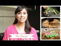 Download Lagu Introduction to Kokiku TV - Hot Dessert - Wedang Ronde (Ginger Drink With Mochi Balls)