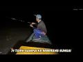 Download Lagu Langsung Di Tarik Sampi Di Seberang Sungi. #fishing 