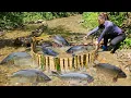 Download Lagu Ana used bamboo to make a fish trap using an ancient method. The results were surprising.