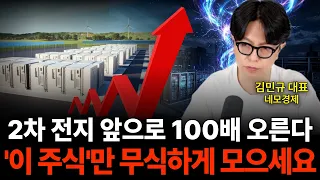 2차전지 앞으로 100배 오른다 '이 주식'만 무식하게 모으세요 (네모경제 김민규 대표)