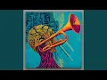 Download Lagu Primer Spray Scream
