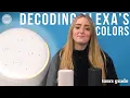 Why is Alexa flashing Decoding green yellow red orange and purple lights