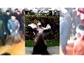 Download Lagu Popek Pakistanskie Disco ( Muslim Dance Mix)