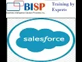 Salesforce Rest API Salesforce Rest API Integration Advance Rest API Client Google Chrome Part II