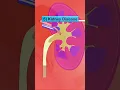 Download Lagu Restless Legs Syndrome (RLS) Risk Factors and Associated Conditions