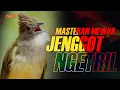 Download Lagu MASTERAN  CUCAK JENGGOT GACOR BESETAN KASAR
