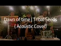 Dawn of Time | Tribal Seeds (Acoustic Cover)