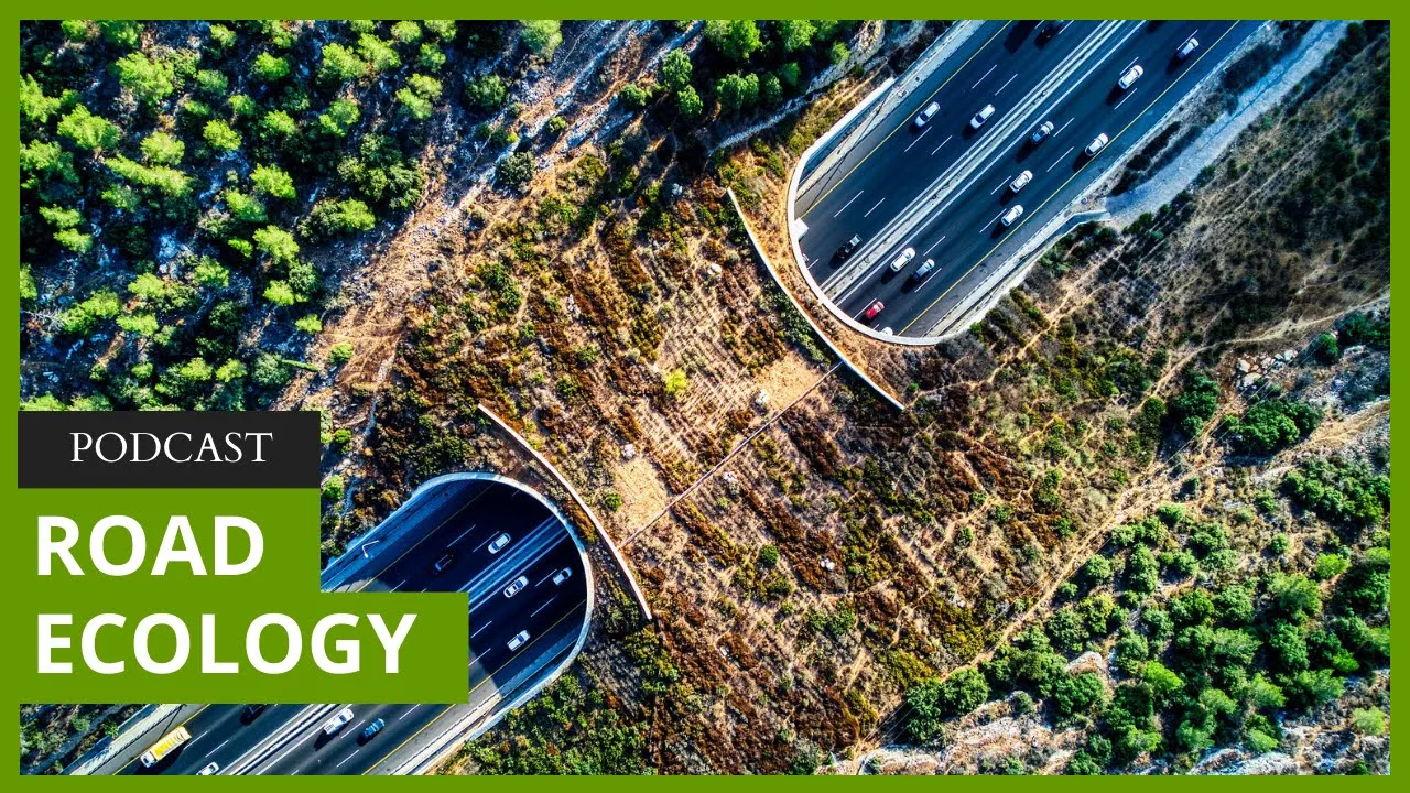 Speeding toward a solution: Can 'road ecology' save millions of animals?