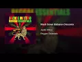 Mash Down Babylon Discomix
