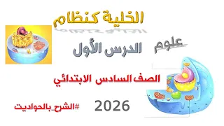 علوم الصف السادس الترم الأول 2026 الوحدة الأولى المفهوم الأول الدرس الأول الخلية كنظام 