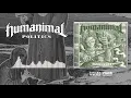 Download Lagu HUMANIMAL - POLITICS (OFFICIAL AUDIO)