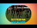 Expert Picks Gulfstream Park Thursday Argumental Royal Majesty Leads
