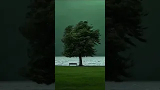 خذني بقايا جروح ذكاء اصطناعي دندنها