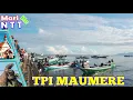 Download Lagu TPI Maumere, Surganya Ikan-Ikan Segar Langsung Dari Kapal  | Mari Ke NTT