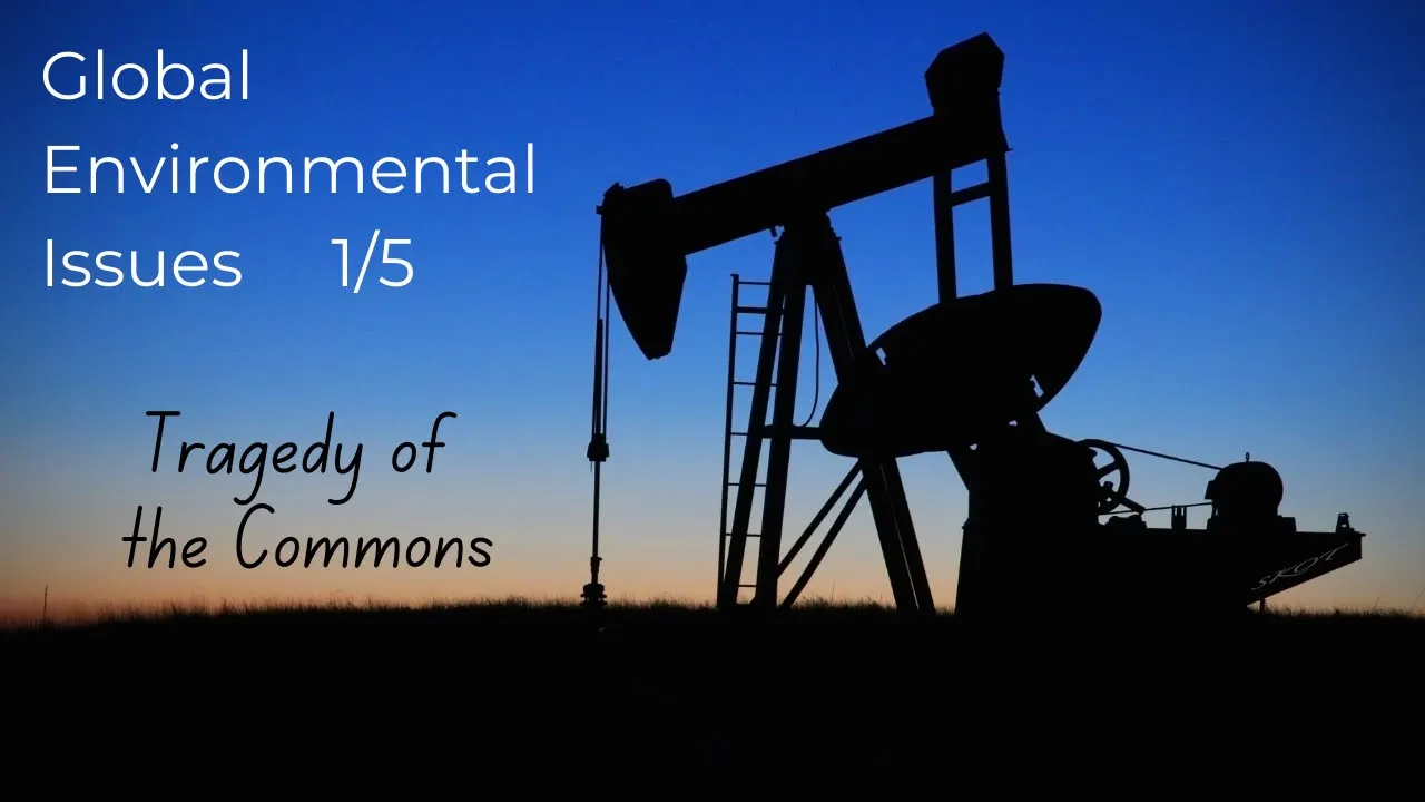 Global Environmental Politics 1/5 - The Tragedy of the Commons