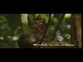Download Lagu Nike ardila - Putih  (lirik video)