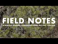music for when you need a reset