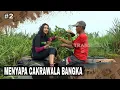 Download Lagu MENYAPA CAKRAWALA BANGKA | JEJAK PETUALANG  (02/10/25) Part 2
