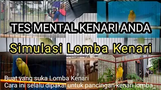 Download Simulasi Lomba Kenari - Tes mental kenari anda MP3