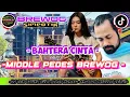 Lagu DJ CEK SOUND FULL BASS TERBARU 2025 BAHTERA CINTA RHOMA IRAMA MIDDLE NROTOK ANDLAN KARNAVAL BREWOG