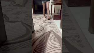 لازم تشوفوه وتخلوا بالكم تقوس الساقين مع اللف للداخل Profdrmohamedhosny4248 