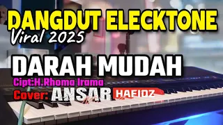 lagu dangdut elecktone viral 2024 darah mudah hj rhoma irama cover by ansar