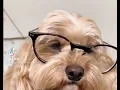 The Best New TikTok Cringe Compilation Part 10
