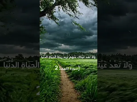 #quran #reaction #holyquran