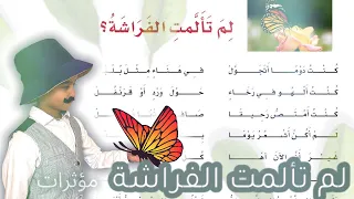 نشيد لم تألمت الفراشة لغتي الصف الرابع الابتدائي مؤثرات مكرره 