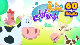 زرنا حظيرة الحيوانات ومجموعة أغاني الأطفال قناة مرح كي جي Marah KG 