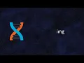 Dioxus Img Rust Tutorial 24