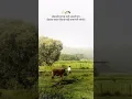 Download Lagu Marathi motivation status | Marathi attitude status | Marathi WhatsApp stat status