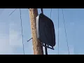 You left my top up on a pole Frustrations from San Diego residents as trash cans are destroyed
