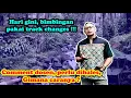 Menu track changes dan comment dalam Bimbingan Tugas Akhir