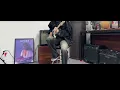 Download Lagu layla