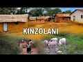 Download Lagu DÉCOUVERTE KIKIMBA: VILLAGE KINZOLANI ESIKA YAKO SALA AFFAIRE YANGO, LE PAYSANS S'EXPRIME SUIVEZ.