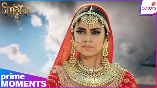 naagin s4 ep 1 vrinda brings cake for dadi colors tv