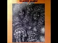 It Hurts Me Too - Street Talkin' by Elmore James