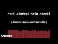 Download Lagu Meri Zindagi Main Ajnabi. Singers: Kumar Sanu and Sunidhi.