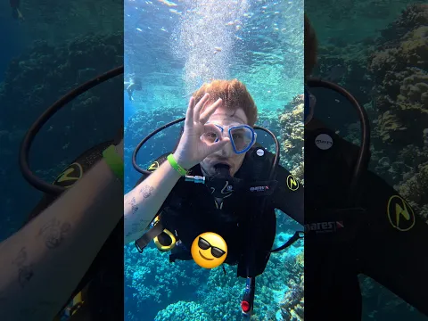 DENİZALTINA TÜPLÜ DALIŞ YAPTIM!!? # #emreuzunboy #dalış #vlog #shorts