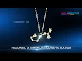 Zodiac Sign Horoscope Scorpio Star Map Necklace - Gold