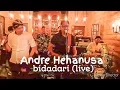 Download Lagu Andre Hehanusa Bidadari