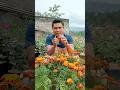 Download Lagu BUNGA MARIGOLD | SUYOK | EDIBLE FLOWERS