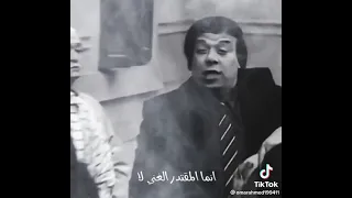 وحيد سيف المال والبنون دندنها